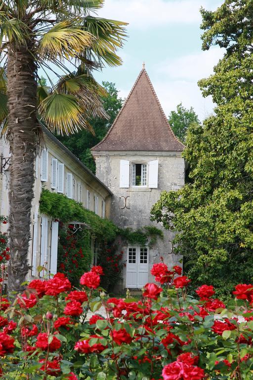 Chateau de Puyrigaud Bed & Breakfast Leoville Bagian luar foto