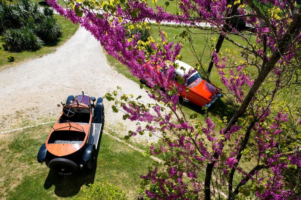 Chateau de Puyrigaud Bed & Breakfast Leoville Bagian luar foto